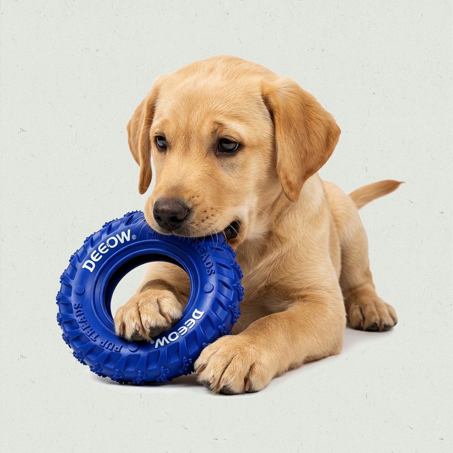 Chewing & Teething