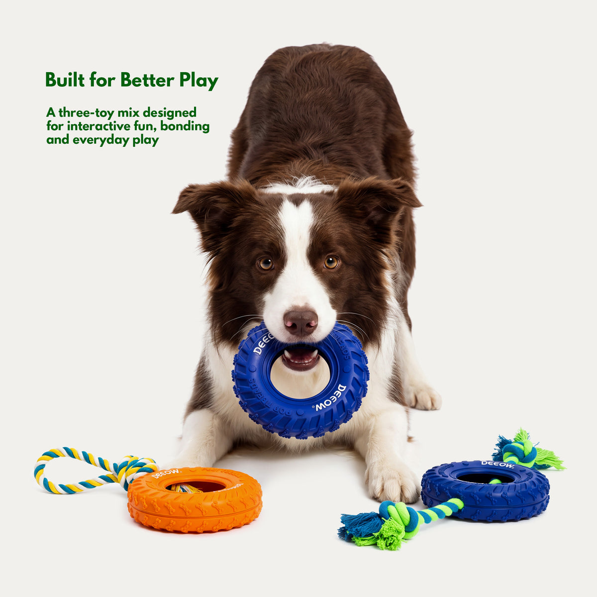 Active Energy Play Box - Interactive Toys for Medium Dogs