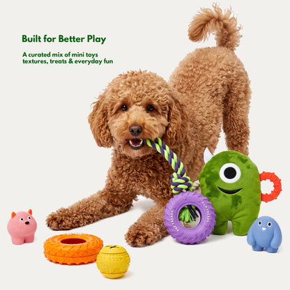 Cozy Indoor Play Box - Interactive Toys for Small Dogs