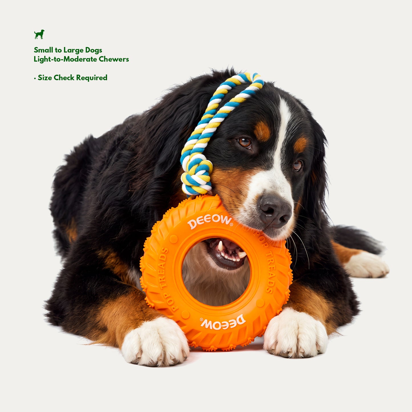 Rubber Tire Toy With Hemp Rope - Orange