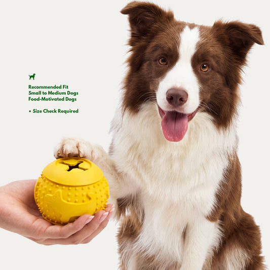 Pup-Pattern Treat Dispensing Ball - 2 Pack Interactive Puzzle Toy