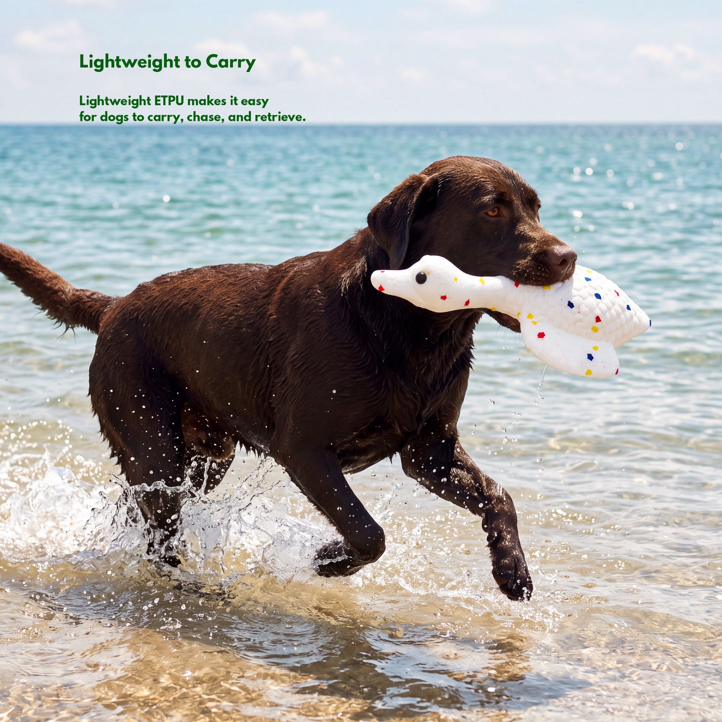 ETPU Water Dog Toy - Goose