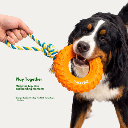 Active Energy Play Box - Interactive Toys for Medium Dogs