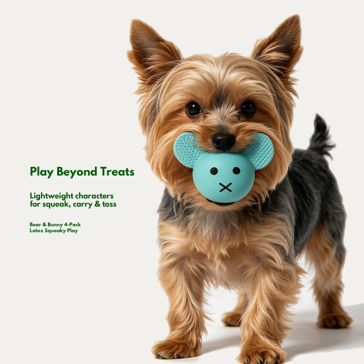Brain Boost Play Box - Treat Enrichment Toys for Dogs
