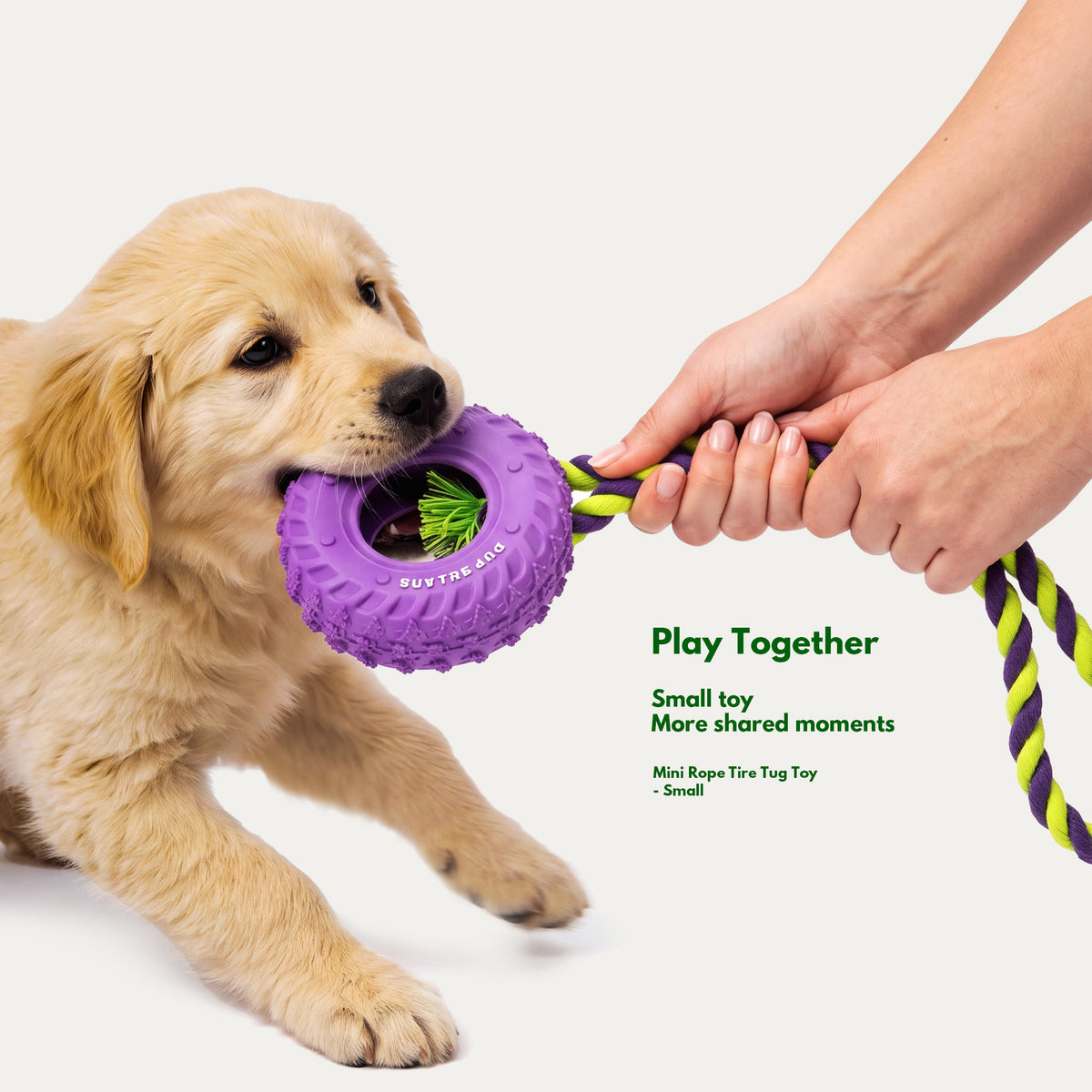 Cozy Indoor Play Box - Interactive Toys for Small Dogs