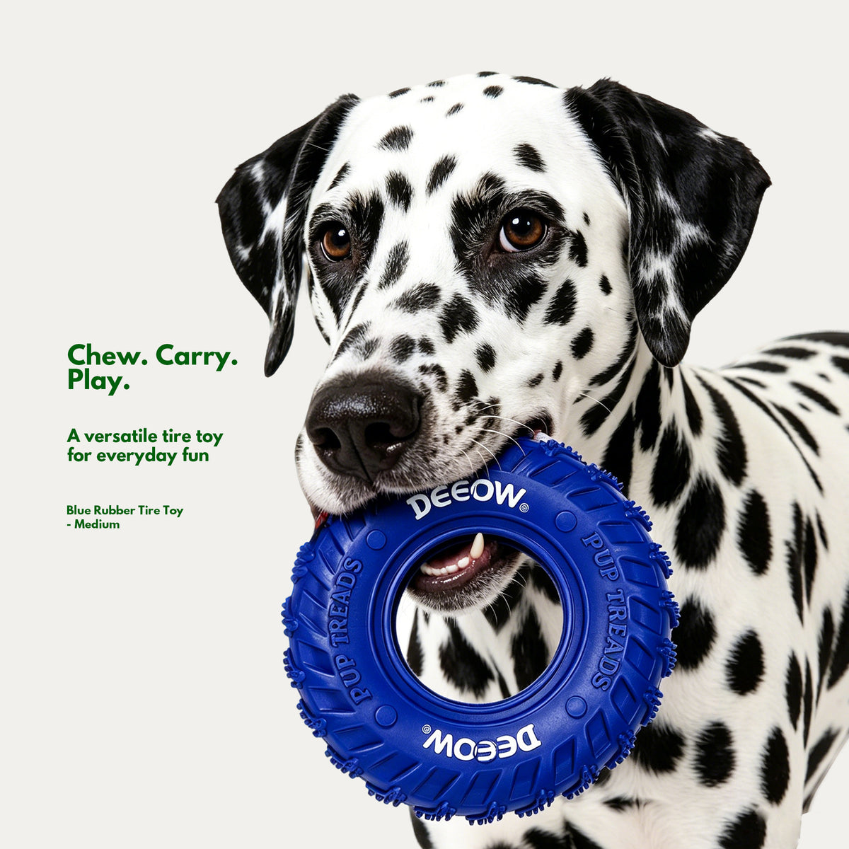 Active Energy Play Box - Interactive Toys for Medium Dogs