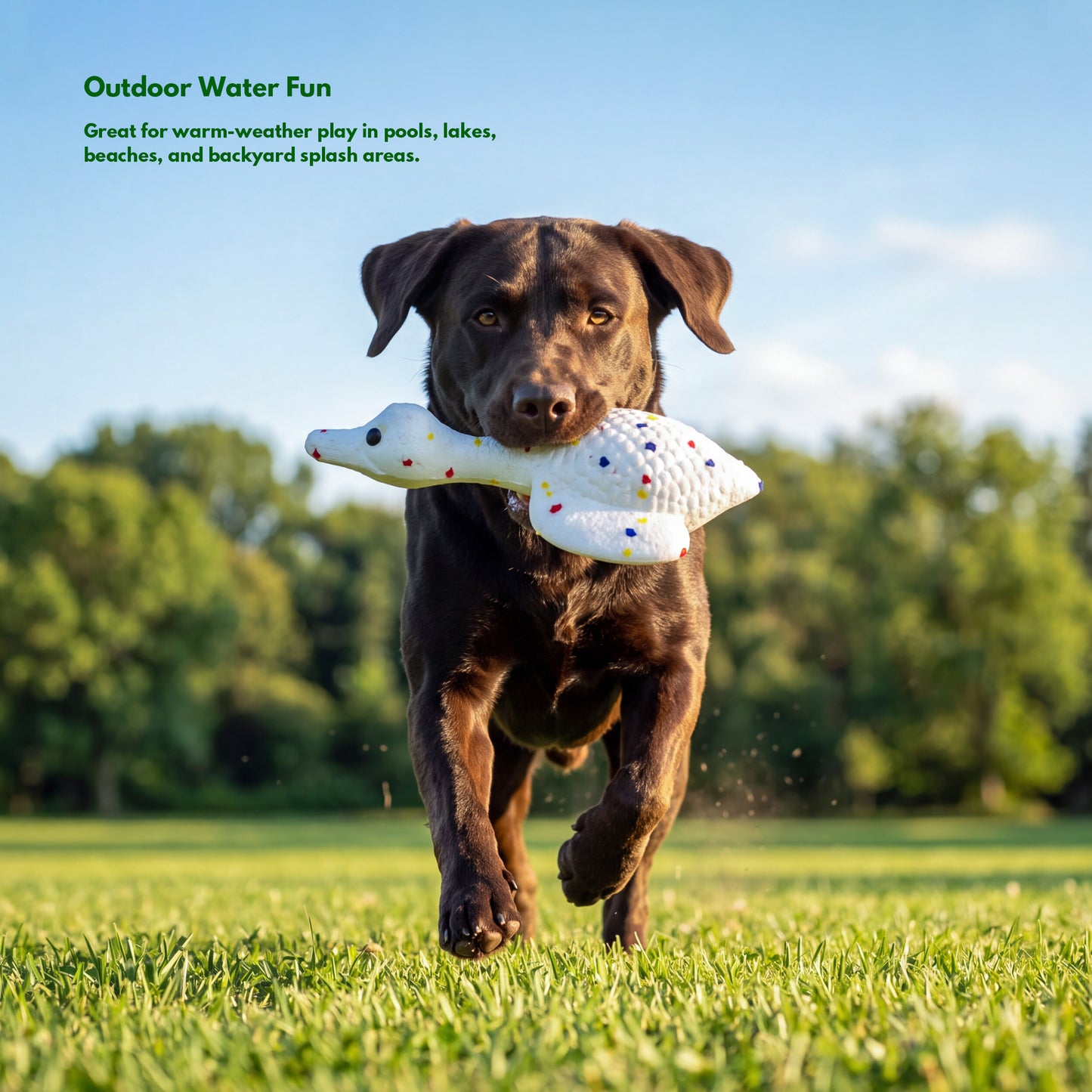 ETPU Water Dog Toy - Goose