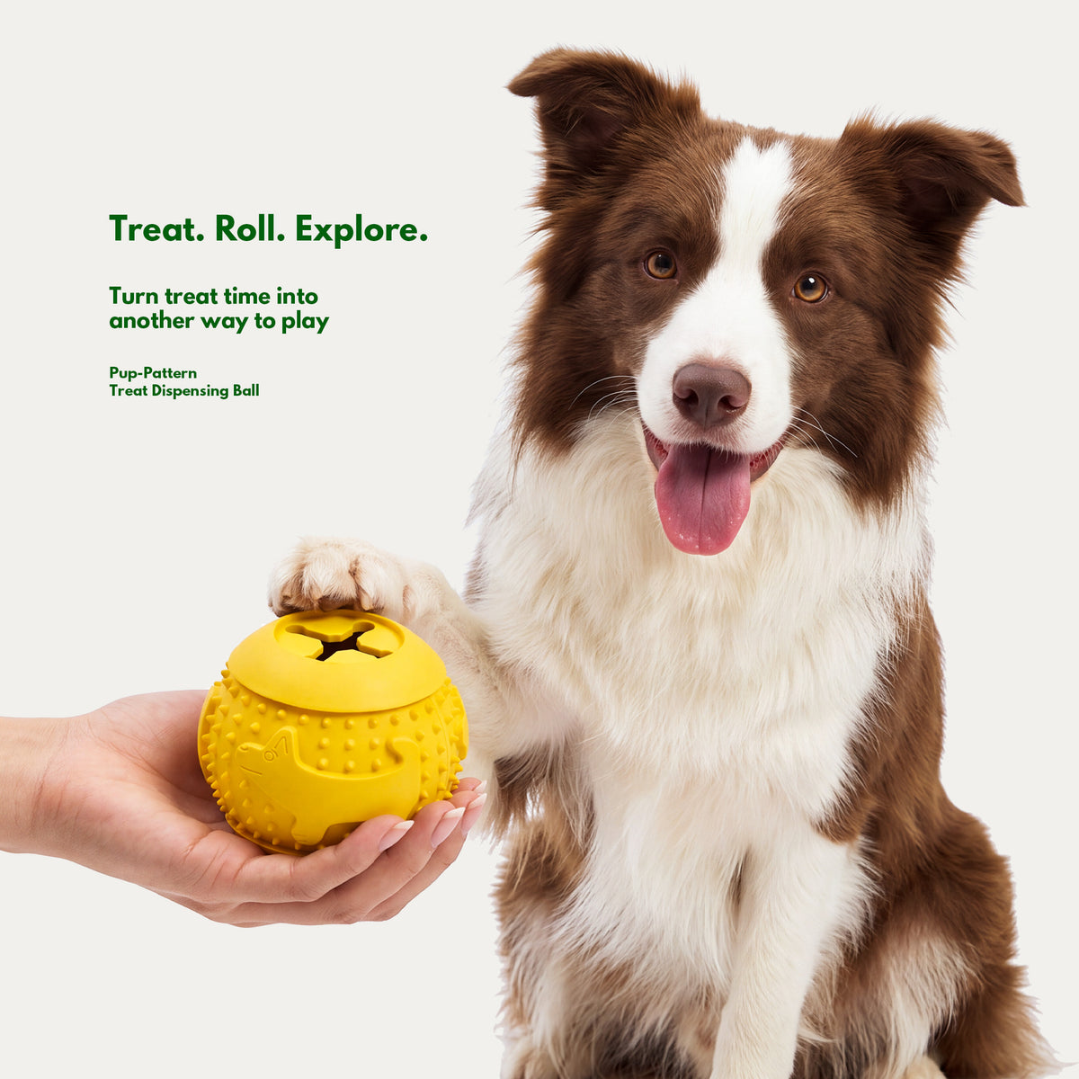 Cozy Indoor Play Box - Interactive Toys for Small Dogs
