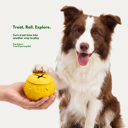 Cozy Indoor Play Box - Interactive Toys for Small Dogs