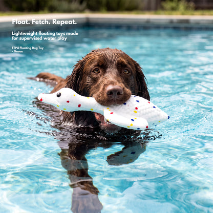 Water Adventure Play Box - Floating Outdoor Toys for Dogs