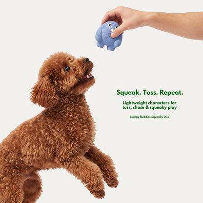 Cozy Indoor Play Box - Interactive Toys for Small Dogs