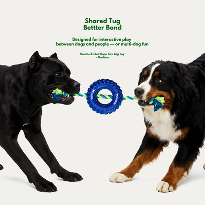 Active Energy Play Box - Interactive Toys for Medium Dogs