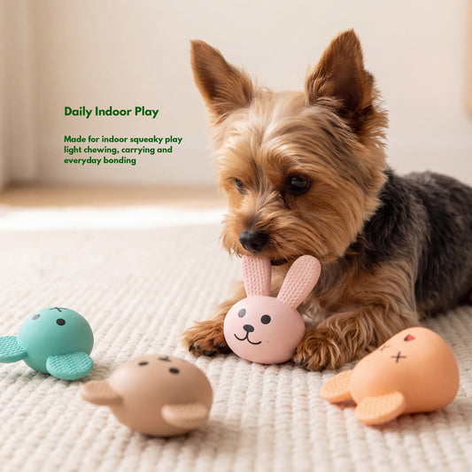 Puppy Discovery Box