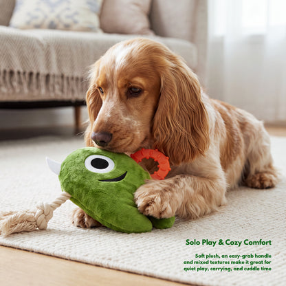 Puppy Discovery Box