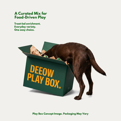 Brain Boost Play Box - Treat Enrichment Toys for Dogs