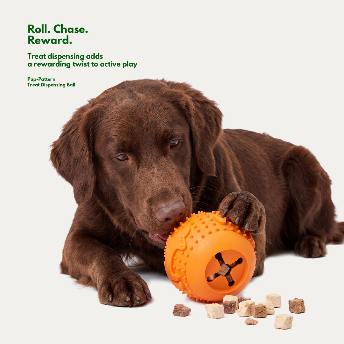 Brain Boost Play Box - Treat Enrichment Toys for Dogs