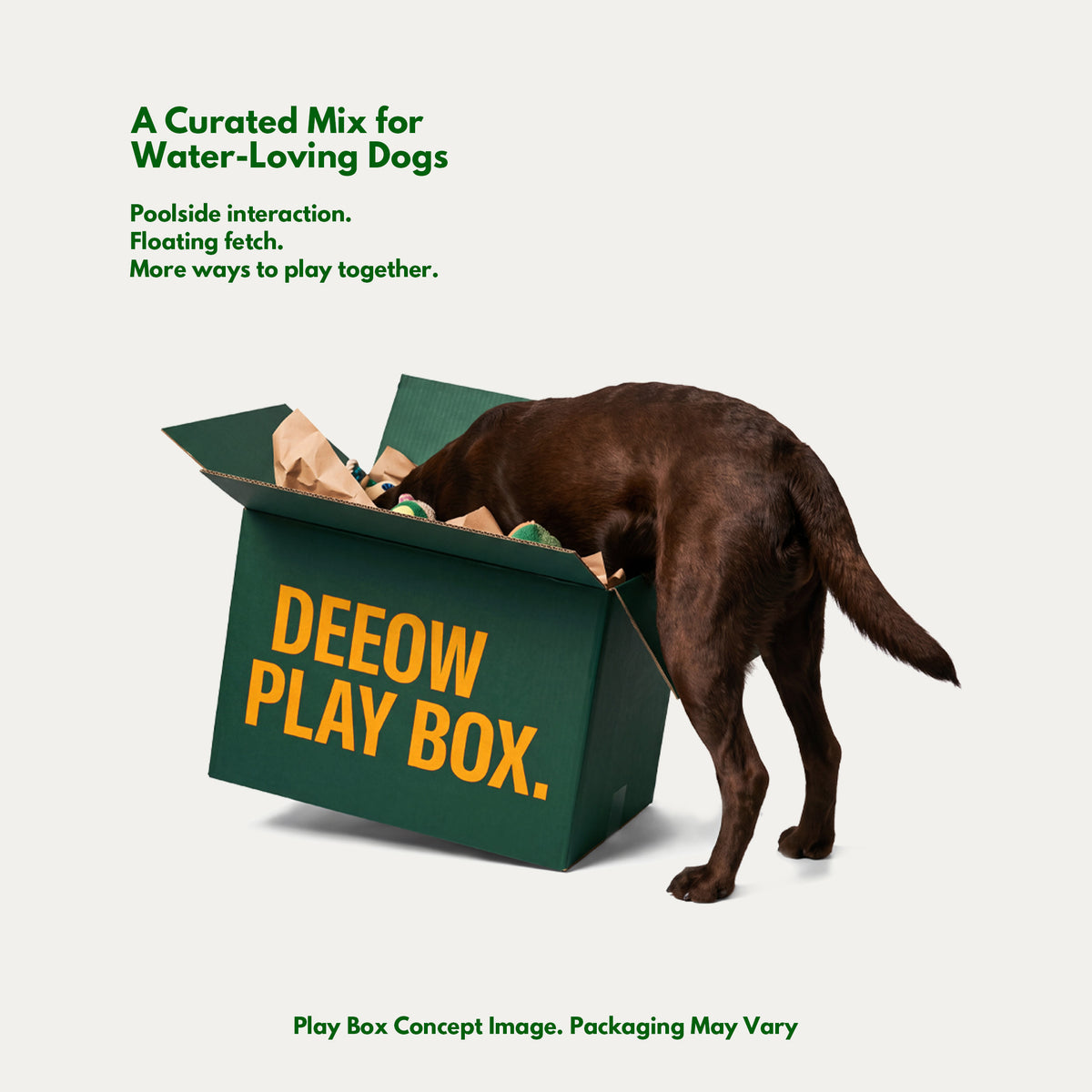 Water Adventure Play Box - Floating Outdoor Toys for Dogs