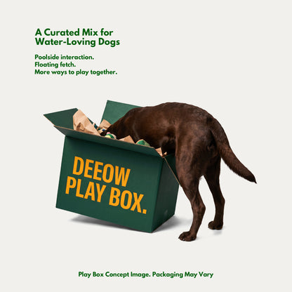 Water Adventure Play Box - Floating Outdoor Toys for Dogs