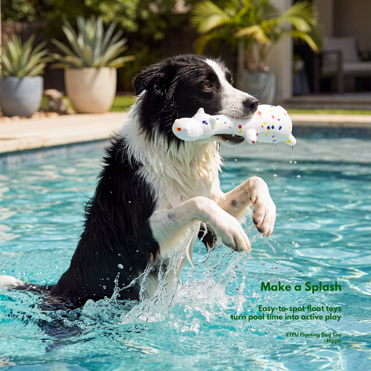 Water Adventure Play Box - Floating Outdoor Toys for Dogs