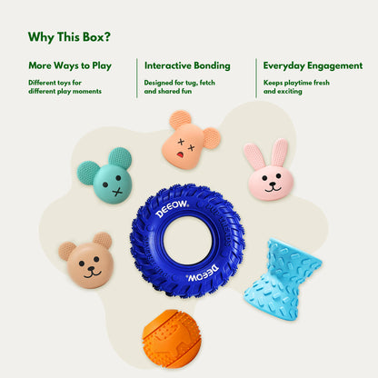 Brain Boost Play Box - Treat Enrichment Toys for Dogs