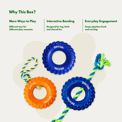 Active Energy Play Box - Interactive Toys for Medium Dogs