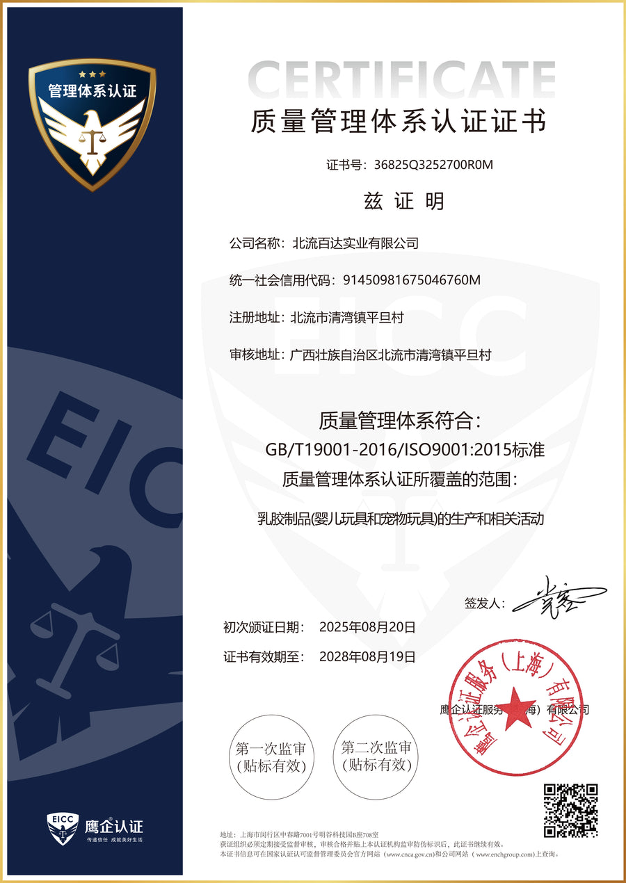 ISO 9001 document